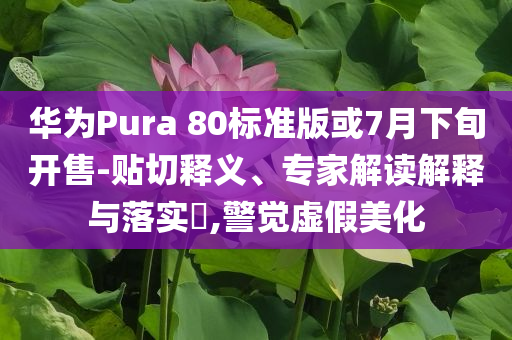 華為Pura 80標(biāo)準(zhǔn)版或7月下旬開(kāi)售-貼切釋義、專家解讀解釋與落實(shí)?,警覺(jué)虛假美化