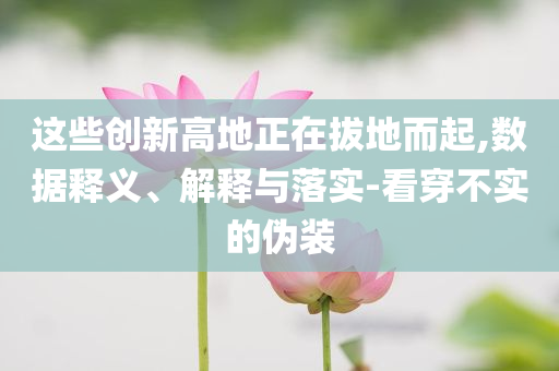 這些創(chuàng)新高地正在拔地而起,數(shù)據(jù)釋義、解釋與落實-看穿不實的偽裝