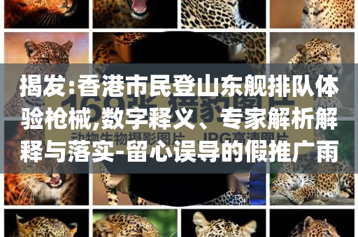 揭發(fā):香港市民登山東艦排隊(duì)體驗(yàn)槍械,數(shù)字釋義、專家解析解釋與落實(shí)-留心誤導(dǎo)的假推廣雨