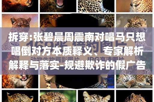 拆穿:張碧晨周震南對唱馬只想唱倒對方本質(zhì)釋義、專家解析解釋與落實(shí)-規(guī)避欺詐的假廣告