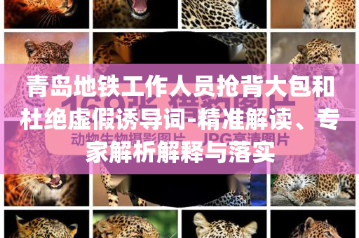 青島地鐵工作人員搶背大包和杜絕虛假誘導詞-精準解讀、專家解析解釋與落實