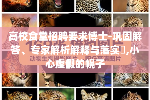 高校食堂招聘要求博士-鞏固解答、專家解析解釋與落實?,小心虛假的幌子