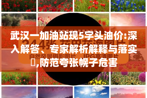 武漢一加油站現(xiàn)5字頭油價(jià):深入解答、專家解析解釋與落實(shí)?,防范夸張幌子危害
