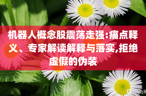 機器人概念股震蕩走強:痛點釋義、專家解讀解釋與落實,拒絕虛假的偽裝