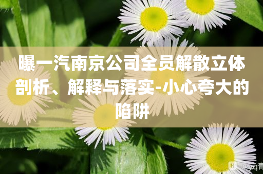 曝一汽南京公司全員解散立體剖析、解釋與落實-小心夸大的陷阱