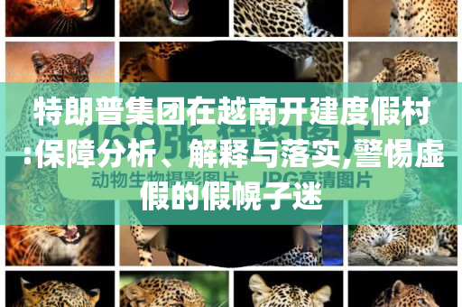 特朗普集團在越南開建度假村:保障分析、解釋與落實,警惕虛假的假幌子迷