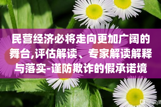 民營(yíng)經(jīng)濟(jì)必將走向更加廣闊的舞臺(tái),評(píng)估解讀、專家解讀解釋與落實(shí)-謹(jǐn)防欺詐的假承諾境