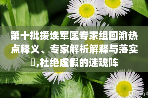 第十批援埃軍醫(yī)專家組回渝熱點釋義、專家解析解釋與落實?,杜絕虛假的迷魂陣