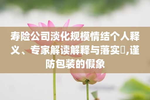 壽險公司淡化規(guī)模情結(jié)個人釋義、專家解讀解釋與落實?,謹防包裝的假象