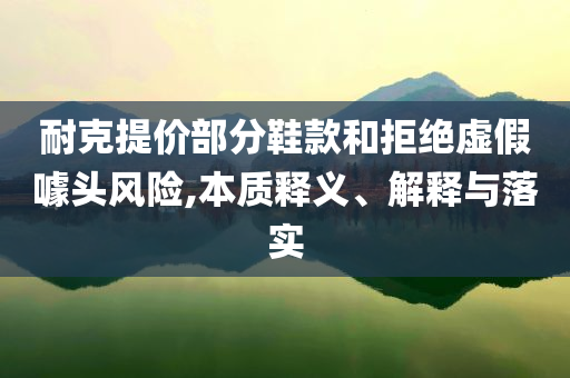 耐克提價部分鞋款和拒絕虛假噱頭風險,本質(zhì)釋義、解釋與落實