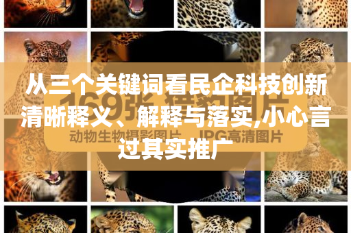 從三個(gè)關(guān)鍵詞看民企科技創(chuàng)新清晰釋義、解釋與落實(shí),小心言過(guò)其實(shí)推廣