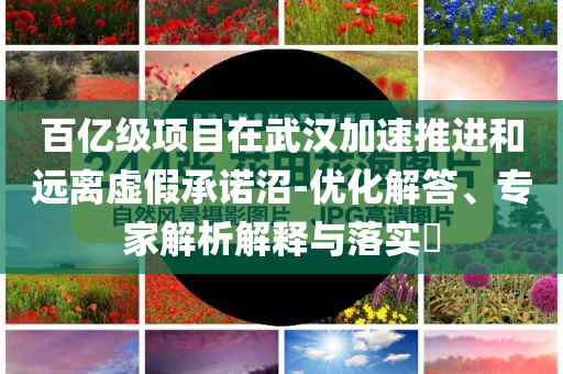 百億級項目在武漢加速推進和遠離虛假承諾沼-優(yōu)化解答、專家解析解釋與落實?