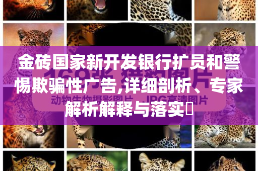 金磚國(guó)家新開發(fā)銀行擴(kuò)員和警惕欺騙性廣告,詳細(xì)剖析、專家解析解釋與落實(shí)?