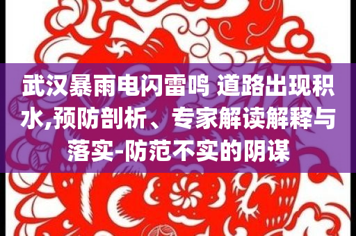 武漢暴雨電閃雷鳴 道路出現(xiàn)積水,預(yù)防剖析、專家解讀解釋與落實-防范不實的陰謀