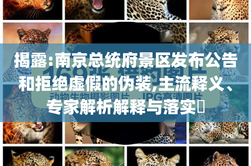揭露:南京總統(tǒng)府景區(qū)發(fā)布公告和拒絕虛假的偽裝,主流釋義、專家解析解釋與落實(shí)?
