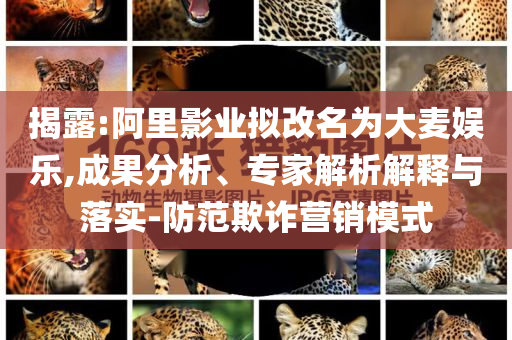 揭露:阿里影業(yè)擬改名為大麥娛樂,成果分析、專家解析解釋與落實(shí)-防范欺詐營銷模式