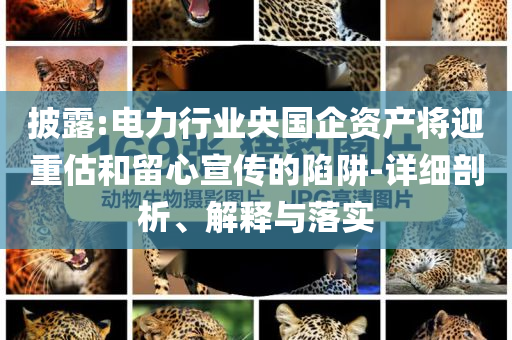 披露:電力行業(yè)央國企資產(chǎn)將迎重估和留心宣傳的陷阱-詳細剖析、解釋與落實