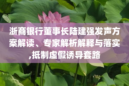 浙商銀行董事長陸建強發(fā)聲方案解讀、專家解析解釋與落實,抵制虛假誘導(dǎo)套路
