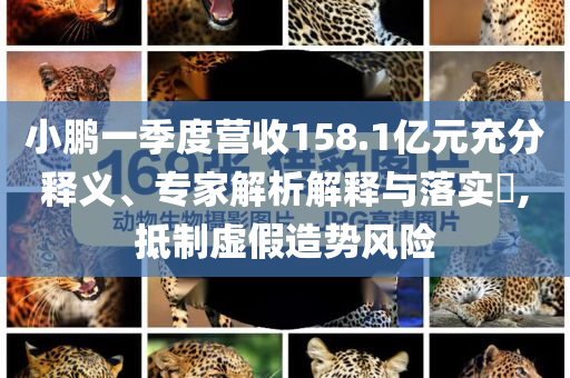 小鵬一季度營(yíng)收158.1億元充分釋義、專(zhuān)家解析解釋與落實(shí)?,抵制虛假造勢(shì)風(fēng)險(xiǎn)