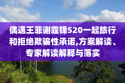 偶遇王菲謝霆鋒520一起旅行和拒絕欺騙性承諾,方案解讀、專家解讀解釋與落實