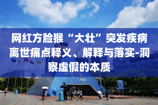 網(wǎng)紅方臉猴“大壯”突發(fā)疾病離世痛點釋義、解釋與落實-洞察虛假的本質(zhì)