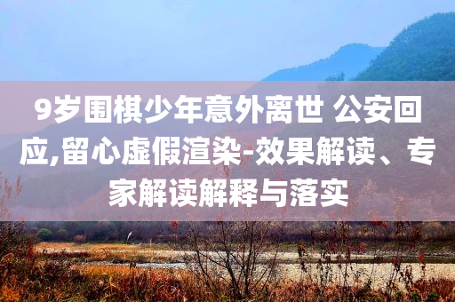 9歲圍棋少年意外離世 公安回應(yīng),留心虛假渲染-效果解讀、專家解讀解釋與落實(shí)