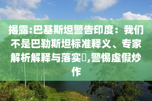 揭露:巴基斯坦警告印度：我們不是巴勒斯坦標(biāo)準(zhǔn)釋義、專家解析解釋與落實(shí)?,警惕虛假炒作