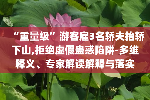“重量級”游客雇3名轎夫抬轎下山,拒絕虛假蠱惑陷阱-多維釋義、專家解讀解釋與落實