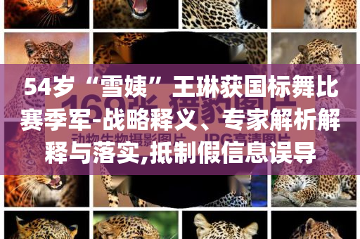 54歲“雪姨”王琳獲國標舞比賽季軍-戰(zhàn)略釋義、專家解析解釋與落實,抵制假信息誤導(dǎo)
