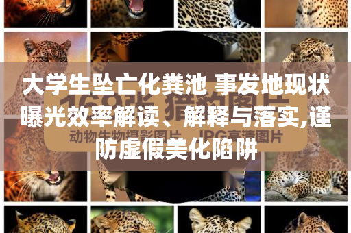 大學(xué)生墜亡化糞池 事發(fā)地現(xiàn)狀曝光效率解讀、解釋與落實(shí),謹(jǐn)防虛假美化陷阱