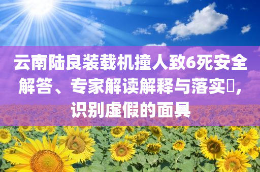 云南陸良裝載機(jī)撞人致6死安全解答、專家解讀解釋與落實(shí)?,識(shí)別虛假的面具