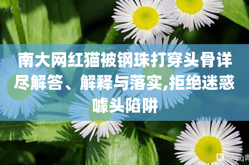 南大網紅貓被鋼珠打穿頭骨詳盡解答、解釋與落實,拒絕迷惑噱頭陷阱