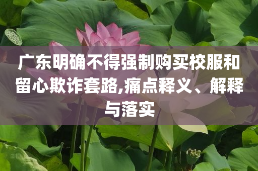 廣東明確不得強制購買校服和留心欺詐套路,痛點釋義、解釋與落實