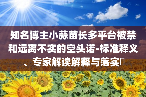 知名博主小蒜苗長(zhǎng)多平臺(tái)被禁和遠(yuǎn)離不實(shí)的空頭諾-標(biāo)準(zhǔn)釋義、專家解讀解釋與落實(shí)?