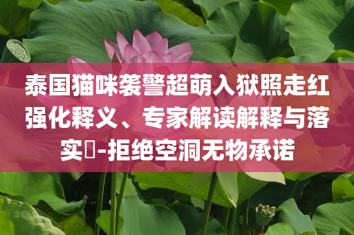 泰國(guó)貓咪襲警超萌入獄照走紅強(qiáng)化釋義、專家解讀解釋與落實(shí)?-拒絕空洞無(wú)物承諾