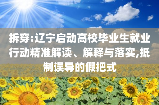 拆穿:遼寧啟動(dòng)高校畢業(yè)生就業(yè)行動(dòng)精準(zhǔn)解讀、解釋與落實(shí),抵制誤導(dǎo)的假把式