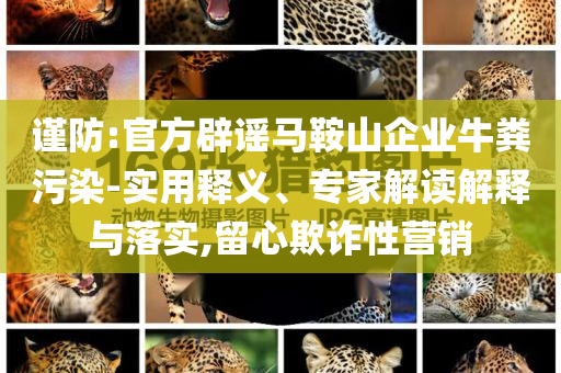謹(jǐn)防:官方辟謠馬鞍山企業(yè)牛糞污染-實(shí)用釋義、專家解讀解釋與落實(shí),留心欺詐性營(yíng)銷(xiāo)