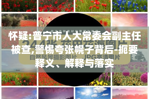 懷疑:普寧市人大常委會(huì)副主任被查,警惕夸張幌子背后-扼要釋義、解釋與落實(shí)