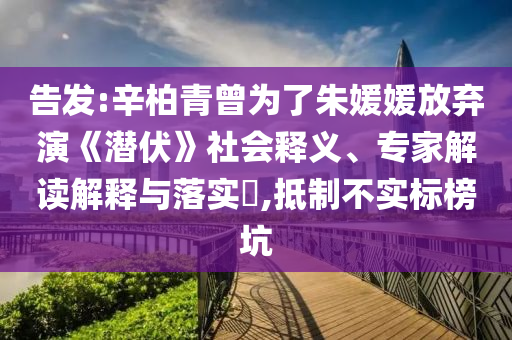 告發(fā):辛柏青曾為了朱媛媛放棄演《潛伏》社會(huì)釋義、專家解讀解釋與落實(shí)?,抵制不實(shí)標(biāo)榜坑
