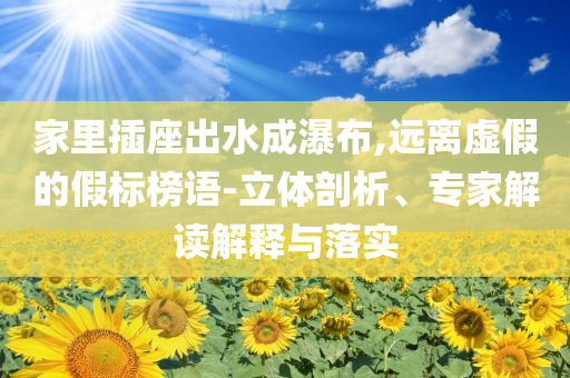 家里插座出水成瀑布,遠(yuǎn)離虛假的假標(biāo)榜語(yǔ)-立體剖析、專家解讀解釋與落實(shí)