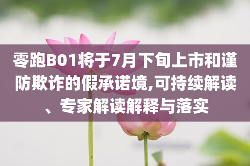 零跑B01將于7月下旬上市和謹(jǐn)防欺詐的假承諾境,可持續(xù)解讀、專家解讀解釋與落實(shí)