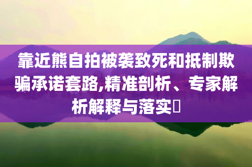 靠近熊自拍被襲致死和抵制欺騙承諾套路,精準(zhǔn)剖析、專家解析解釋與落實(shí)?