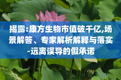 揭露:康方生物市值破千億,場景解答、專家解析解釋與落實-遠離誤導(dǎo)的假承諾