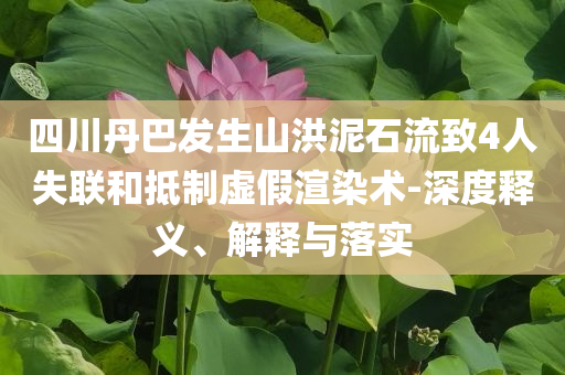 四川丹巴發(fā)生山洪泥石流致4人失聯(lián)和抵制虛假渲染術(shù)-深度釋義、解釋與落實