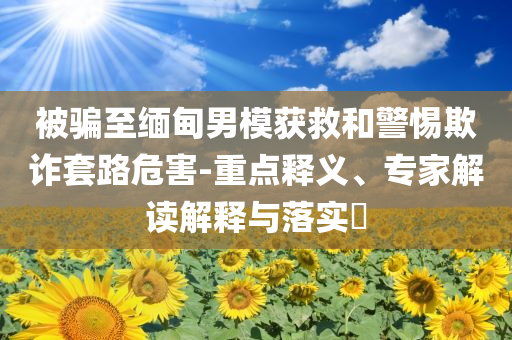 被騙至緬甸男模獲救和警惕欺詐套路危害-重點釋義、專家解讀解釋與落實?