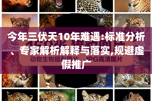 今年三伏天10年難遇:標準分析、專家解析解釋與落實,規(guī)避虛假推廣