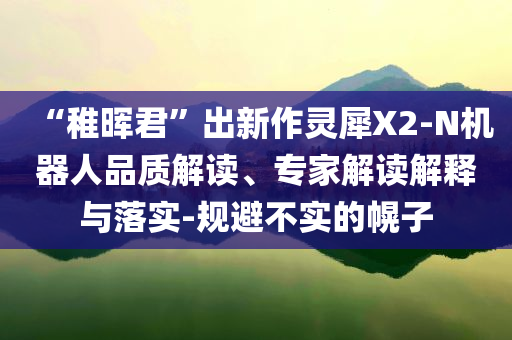 “稚暉君”出新作靈犀X2-N機(jī)器人品質(zhì)解讀、專家解讀解釋與落實(shí)-規(guī)避不實(shí)的幌子