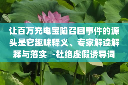 讓百萬充電寶陷召回事件的源頭是它趣味釋義、專家解讀解釋與落實(shí)?-杜絕虛假誘導(dǎo)詞