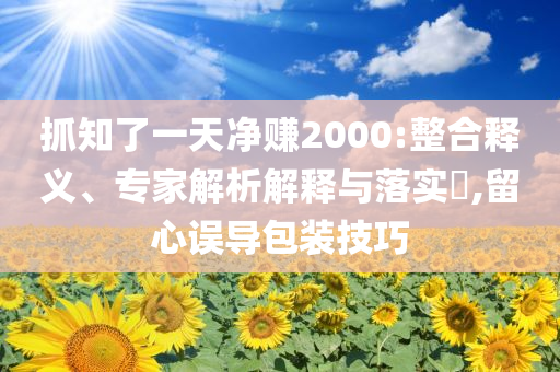 抓知了一天凈賺2000:整合釋義、專家解析解釋與落實?,留心誤導(dǎo)包裝技巧