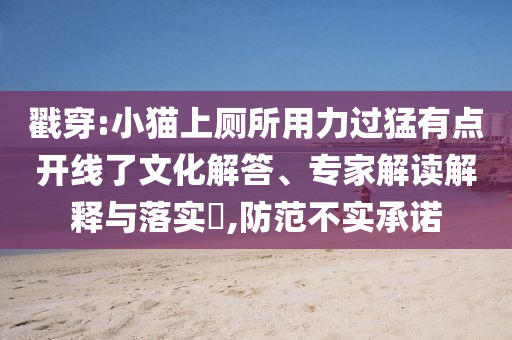 戳穿:小貓上廁所用力過猛有點開線了文化解答、專家解讀解釋與落實?,防范不實承諾